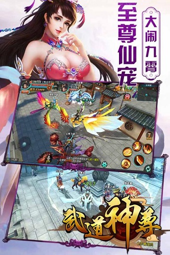 武道神尊无限元宝版 游戏截图